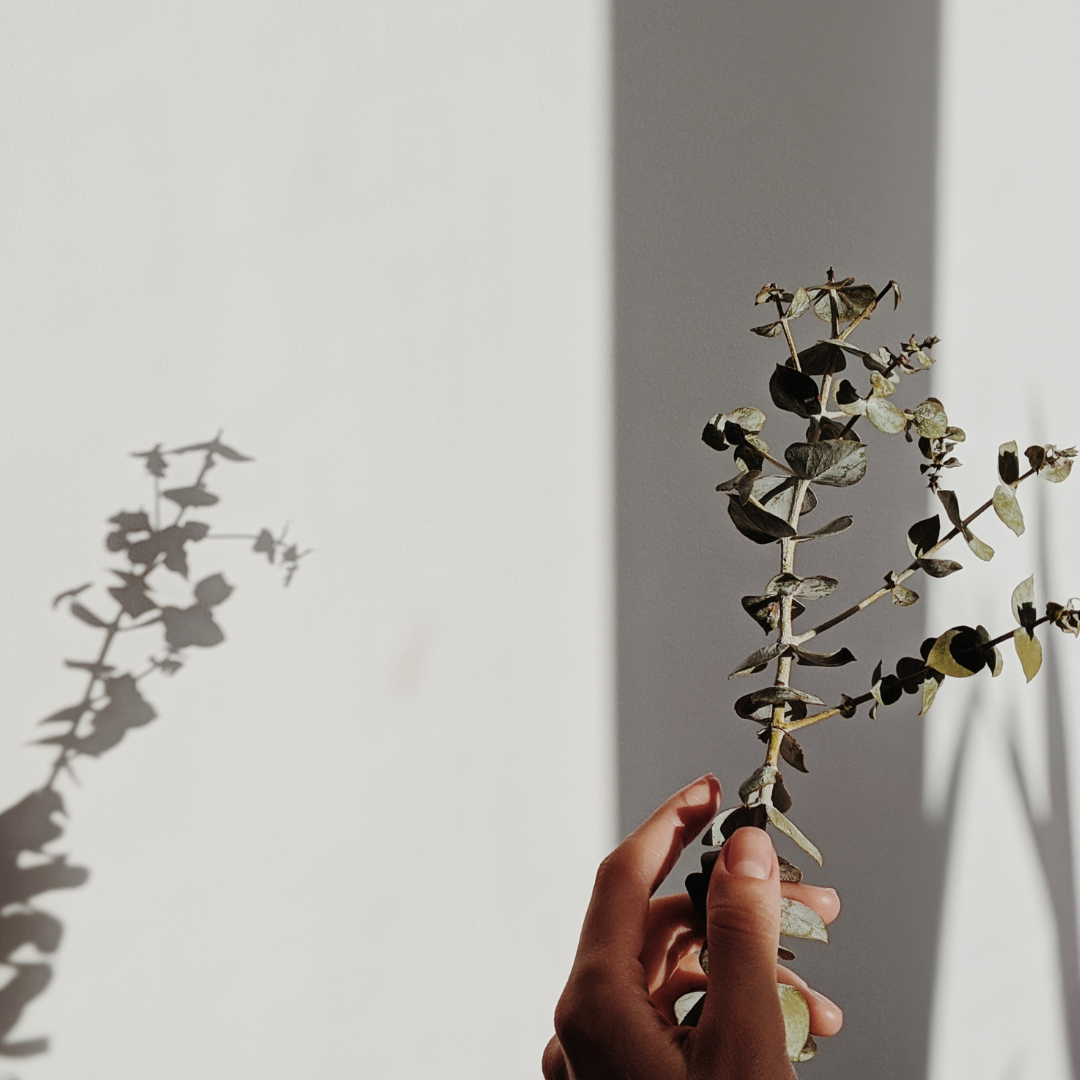 Eucalyptus Mint Oasis- Aromatherapy Spray