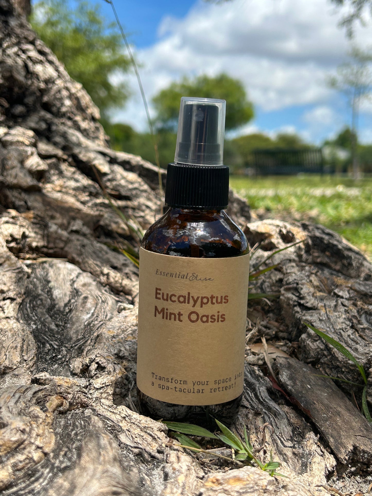 Eucalyptus Mint Oasis- Aromatherapy Spray
